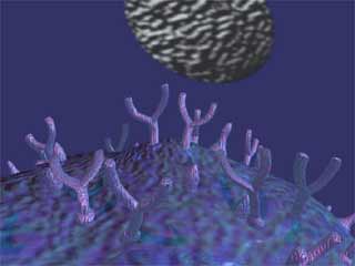allergy pollen mast cells